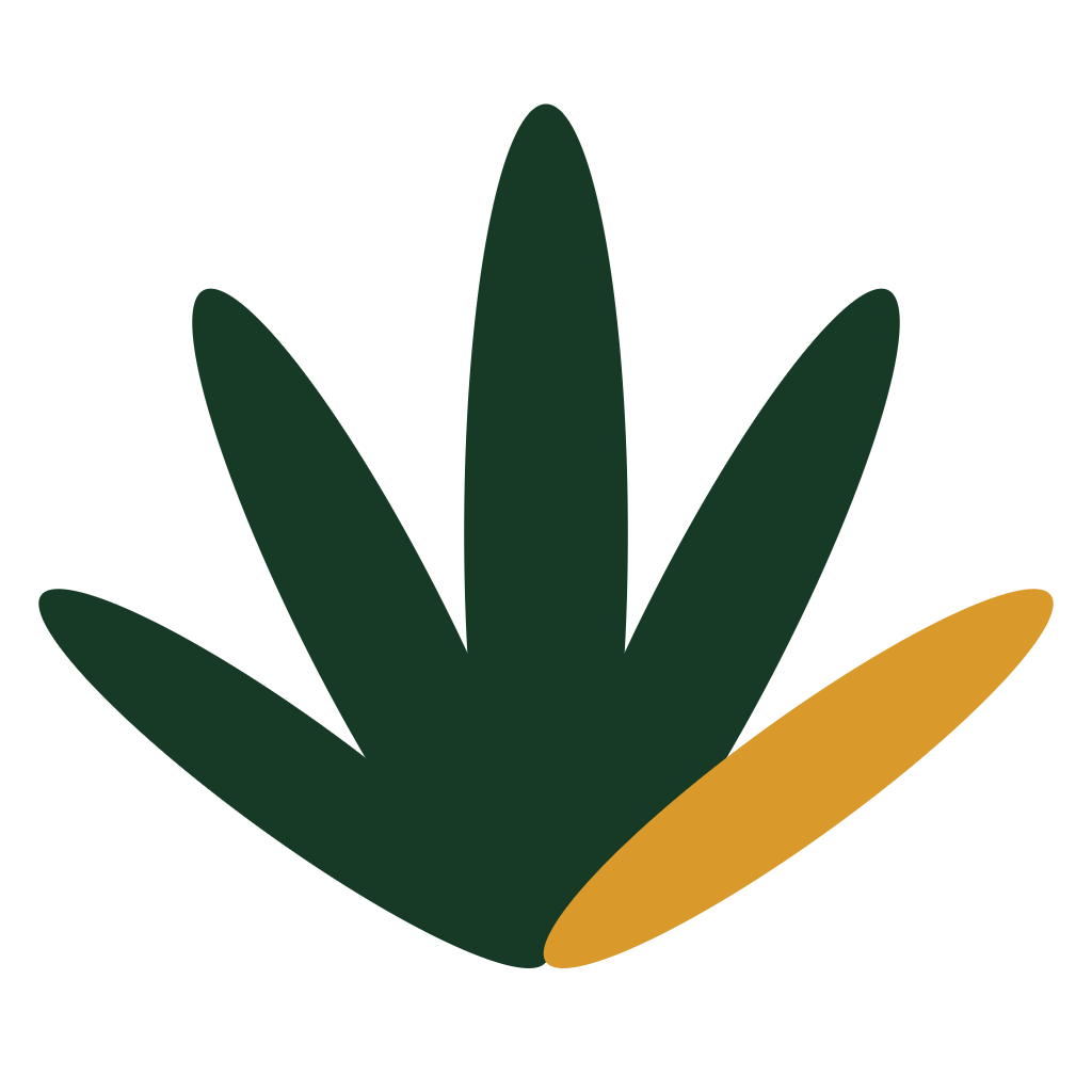 CannabisZugang